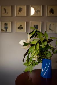 Bai Boutique Apartments Florence