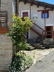 OmniViso