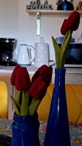 Apartman Rab Blue