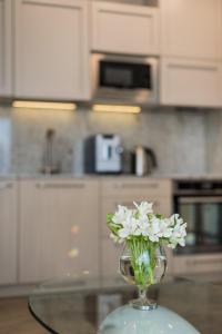64LT Riverside Apartment near Nord Clinic & Žalgirio Arena