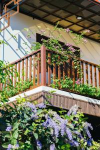 AuLac Hoian Homestay