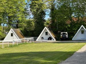 Stege Camping
