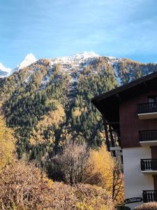 Appartement La Jonction CHAMONIX