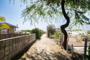 Organos - Dunas del Norte by Vibrant