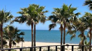 LOS GAVILANEs ISLA CANELA