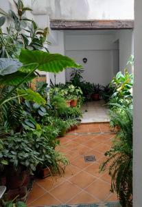 Tranquilo y cerca del museo arqueologico