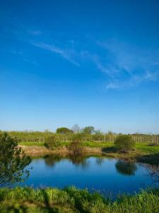 Orchard Haven