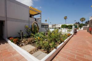 Apartment in Costa del Silencio - Solis Solis