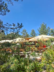 Maglian Forest Retreat