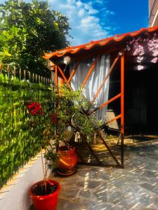 Ermis apartment 1