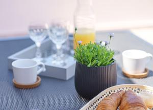 Family Petrov Apartments - Top Floor Penthouse with Large Terrace