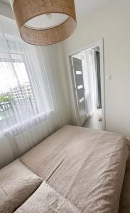 Apartament Kraszewskiego