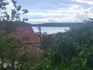 APARTMAN I SOBE MARIJANA