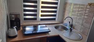 Apartament Aura Palenicy