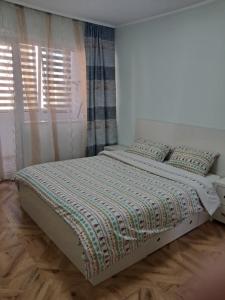 Cazare Apartament