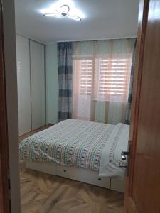Cazare Apartament