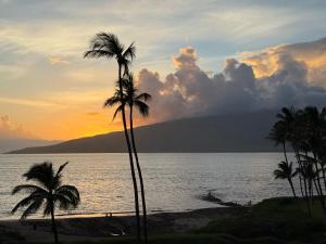 Oceanfront Artist Condo Panoramic Maui Sunsets