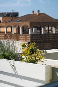 Nerea Suites img86