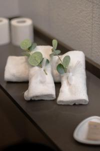 Nerea Suites img82