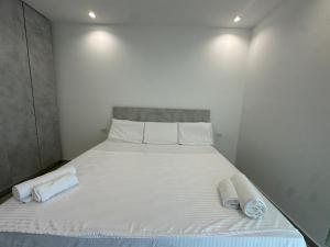 Apartment A&A- Rana e Hedhun