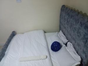 Affordable Lavington studio