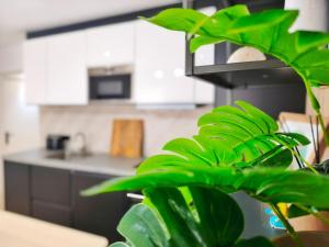 Moderno apartamento 2 hab en La Ràpita, Puerto