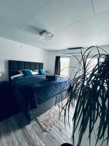 B&B Prachtig Allemachtig