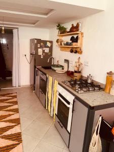 Flat in the heart of Tamraght