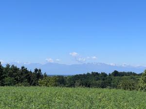 Cdei Boschi charm and nature in Piedmont