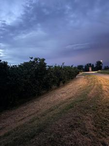 Cdei Boschi charm and nature in Piedmont