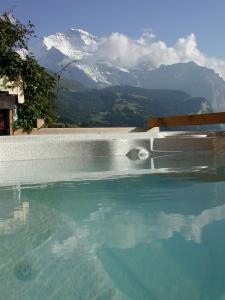 hotel bellevue traditional swiss hideaway