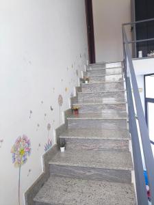 Butterfly Room