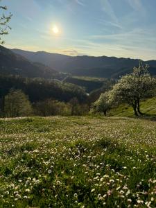 Apartma na podeželju - Slovenia Nature