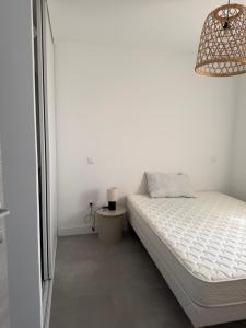 Appartement T2 corte