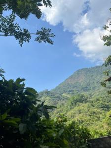 Templo Verde Eco hostal