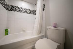 Modern Studio in the Heart of Ottawa