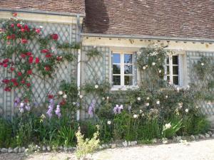 Maisons de vacances Gite de la Vigneraie : photos des chambres