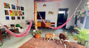 Hospedaje MagiAventura Curití - Centro y Aventura