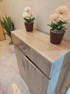 Appartement de luxe avec deux balcons sans vis à vis