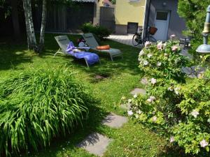 in the holiday home Burgenland 1