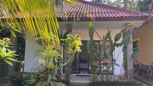 Rega house