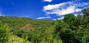 Hacienda La Tulia Eco Hotel