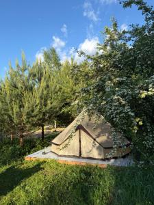 Pine Nest Glamping
