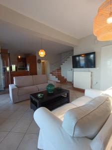Aeriko Amazing Sea View Villa