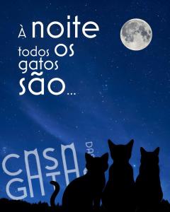 Maria Do Carmo - Casa das Gatas