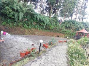Syangbo Homestay