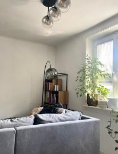 Apartment in the City center