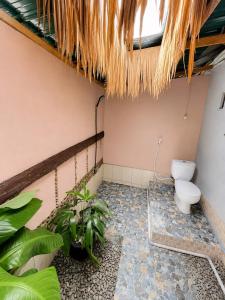 Jungle life guesthouse Trekking & Transport Book with us