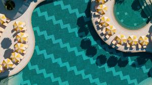 NALU Latchi - Leonardo Limited Edition