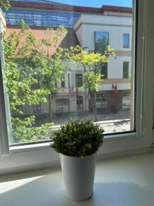 Herkaus Apartment